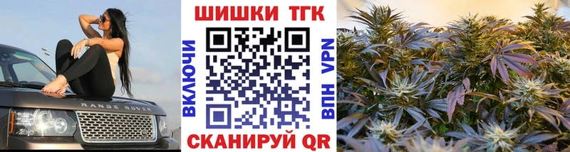 Бошки Шишки планчик Заволжск